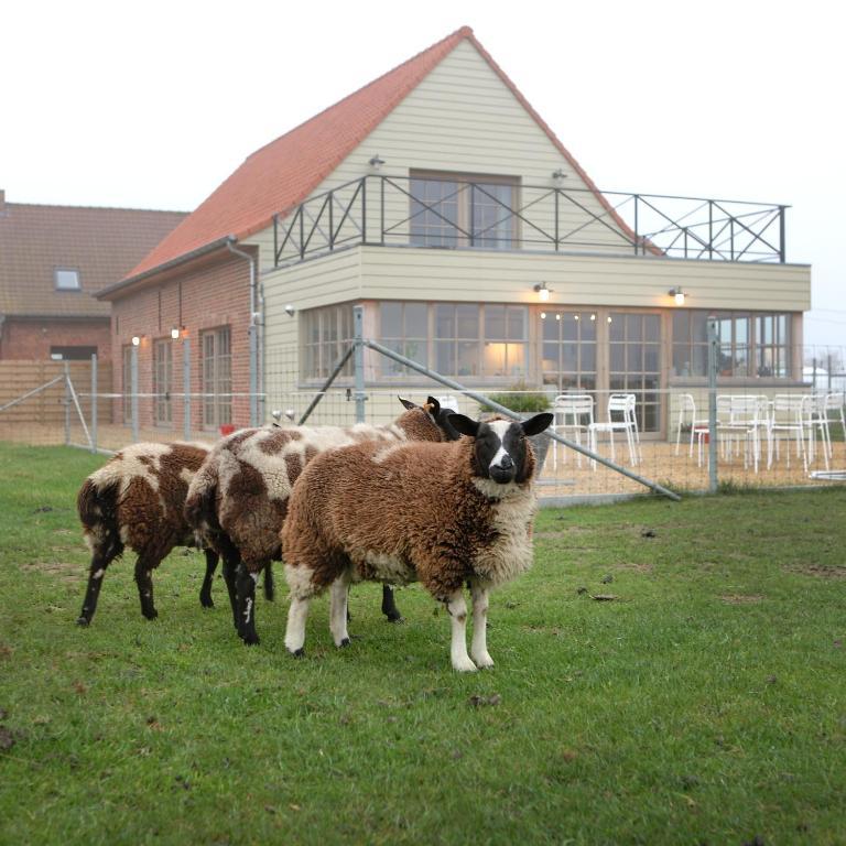 B&B Back2Front Boezinge Bagian luar foto